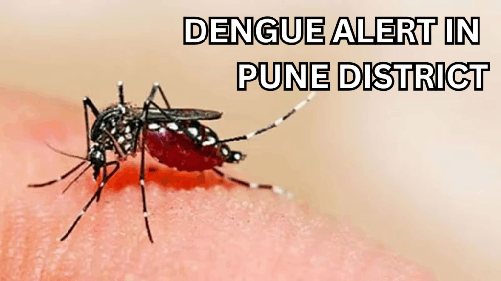 Dengue Alert in Pune District – Monsoon 2025 Brings Spike in Cases