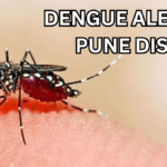 Dengue Alert in Pune District – Monsoon 2025 Brings Spike in Cases