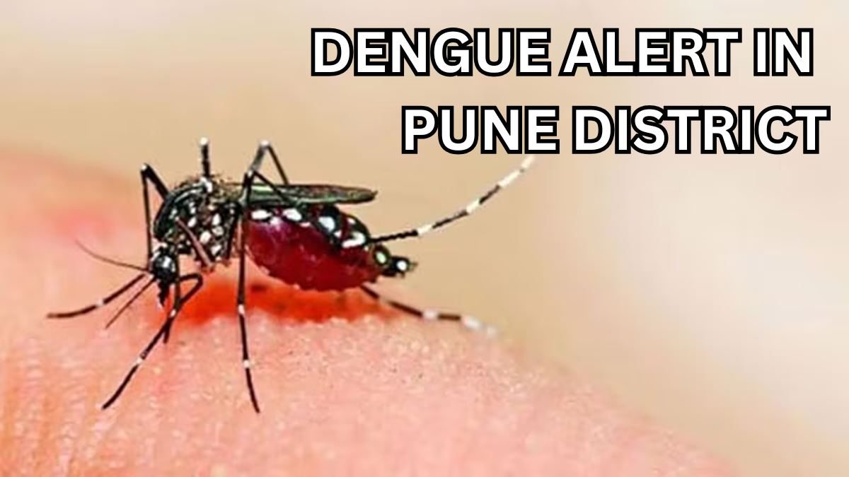 Dengue Alert in Pune District – Monsoon 2025 Brings Spike in Cases