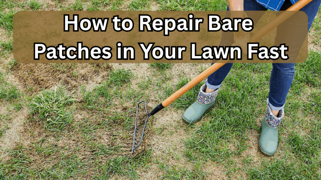 How to Repair Bare Patches in Your Lawn Fast