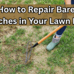 How to Repair Bare Patches in Your Lawn Fast