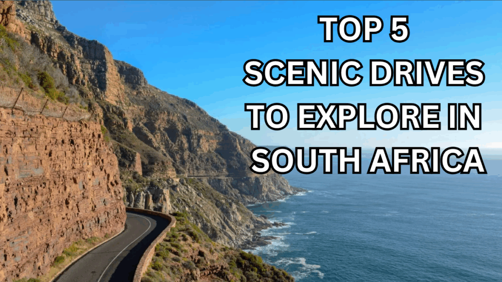 Top 5 Scenic Drives to Explore in South Africa – 2025 Edition