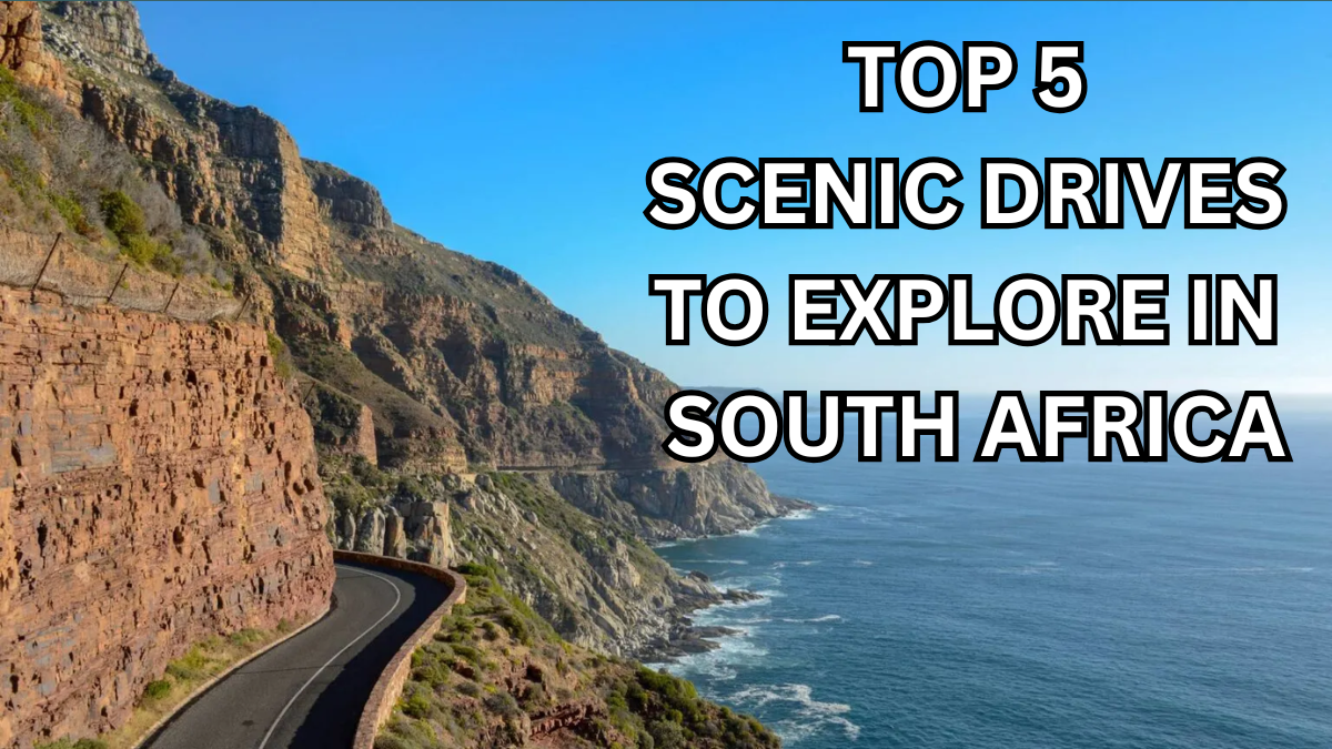 Top 5 Scenic Drives to Explore in South Africa – 2025 Edition