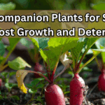 Best Companion Plants for Squash to Boost Growth and Deter Pests
