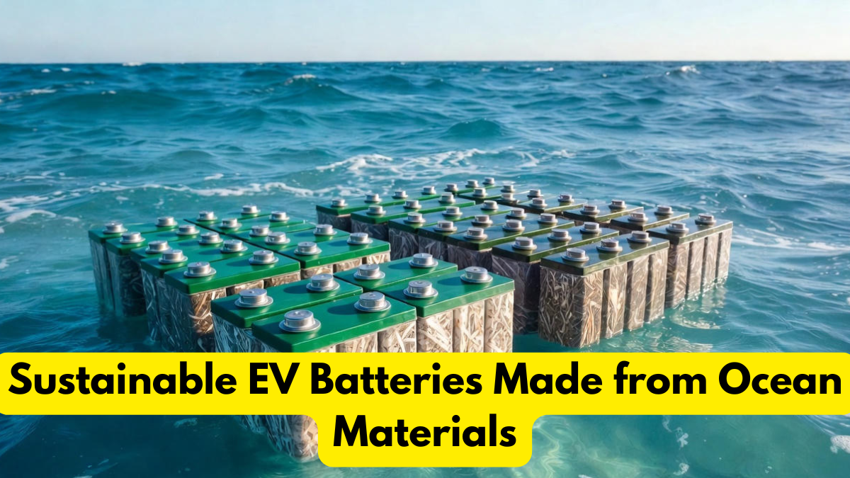 Sustainable EV Batteries Made from Ocean Materials