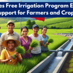 Philippines Free Irrigation Program Expansion 2026: Support for Farmers and Crop Growth